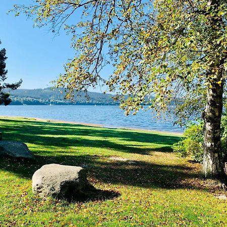 Riviera Lipno 502 Apartman 4Kk U Vody Lipno nad Vltavou Zewnętrze zdjęcie